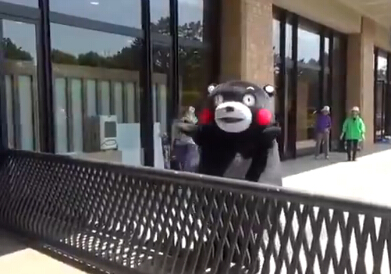 搞笑直播 活捉一只骄傲的熊本熊翻围栏