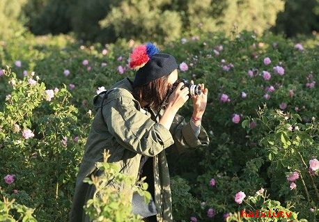 秀场直播间美女 张歆艺变身风情少女凹造型摄影3